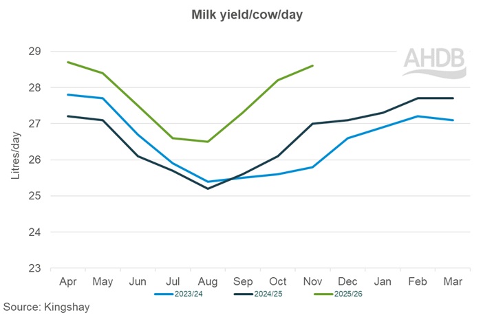 Graph showing Kingshay milk yield per cow November 2025.